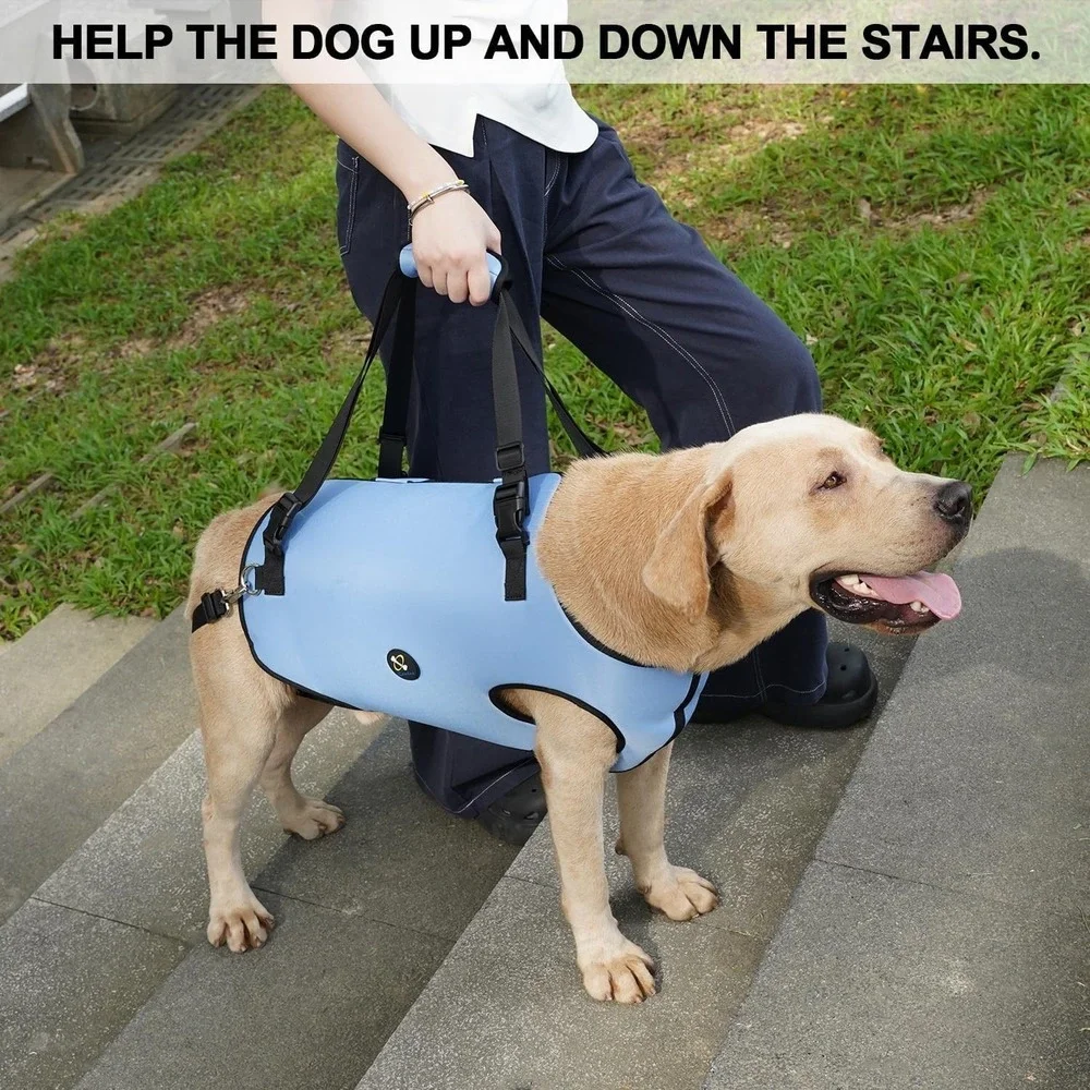 Coodeo Pet Support‎ Harness Small Blue Lift Sling for Weak or Disabled Dogs